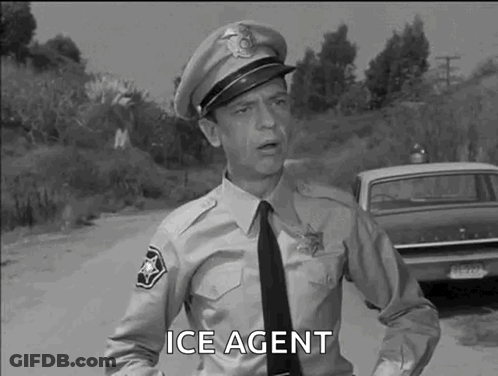 Black And White Police Officer Talking By Car GIF
