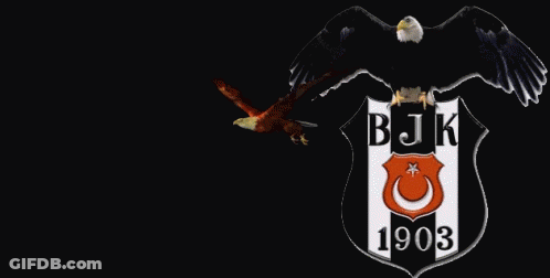 Black And White Poster Saying Eagles Just Lost GIF