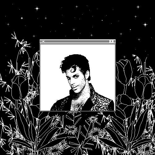 Black And White Prince Look GIF