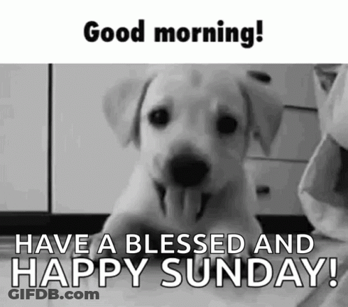 Black And White Puppy Saying Good Morning Sunday GIF