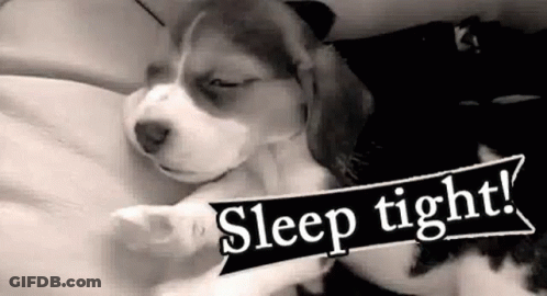 Black And White Puppy Sleeping With Sleep Tight Sign GIF