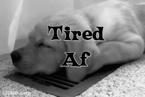 Black And White Puppy Tired AF GIF