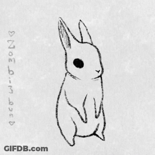 Black And White Rabbit Drawing 2012 GIF