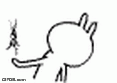 Black And White Rabbit With Stick In Mouth GIF