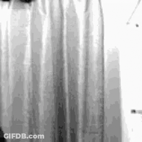 Black And White Radiator With Shower Curtain GIF