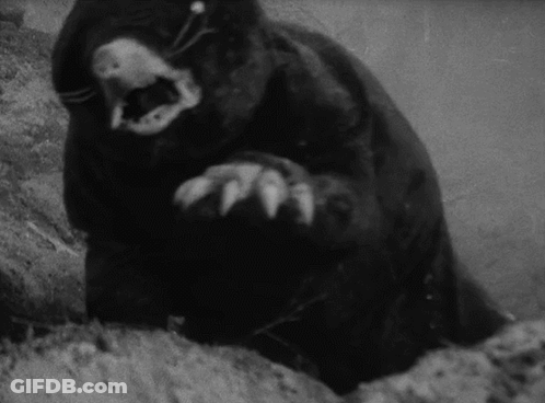 Black And White Rat Crawling Out Of Ground GIF