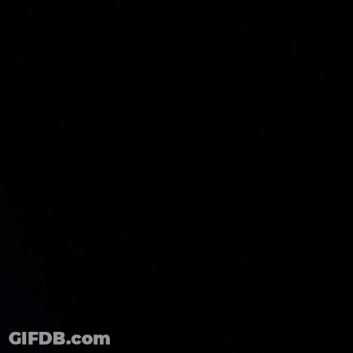 Black And White Red Panda Absolute Cinema GIF
