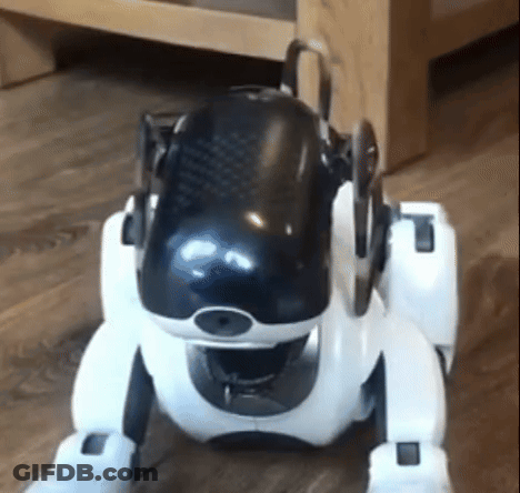 Black And White Robot Dog Sitting GIF