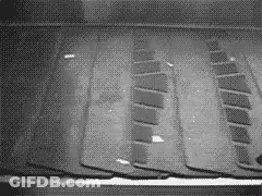 Black And White Roof With Holes GIF