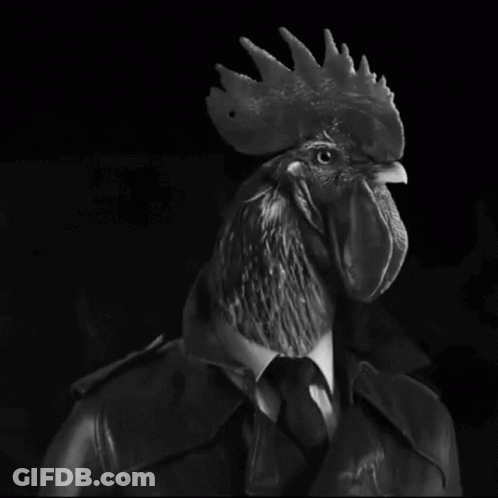Black And White Rooster Wearing Suit GIF