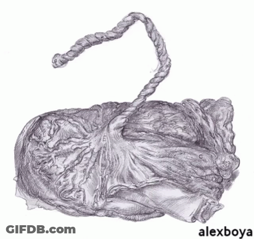 Black And White Rope Drawing With Alexboya GIF