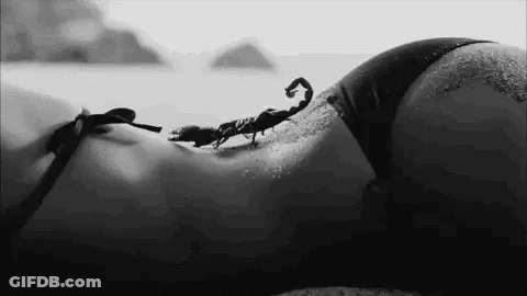 Black And White Scorpion Crawling On Woman's Back GIF