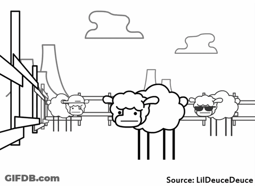 Black And White Sheep Standing In Doorway GIF