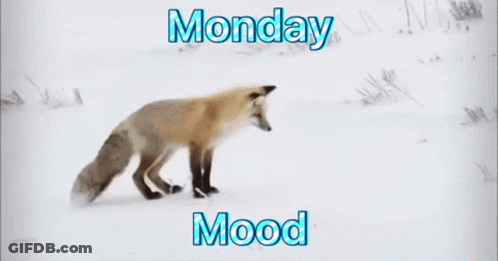 Black And White Sign Saying Good Morning Have A Blessed Day GIF