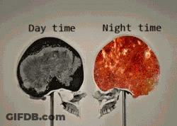 Black And White Skull Day Time Night Time GIF