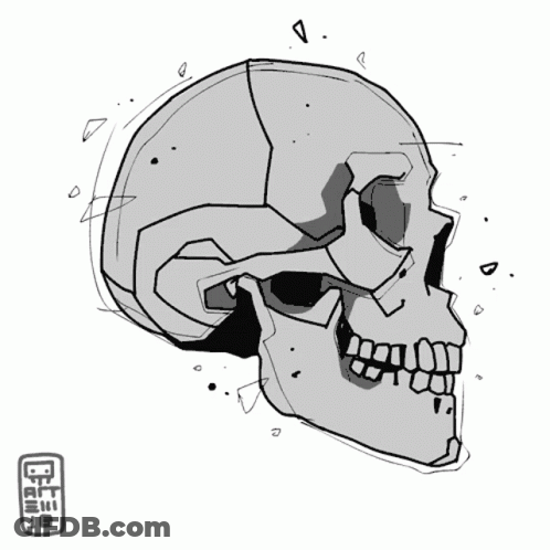 Black And White Skull With Letters L.T.E.M GIF