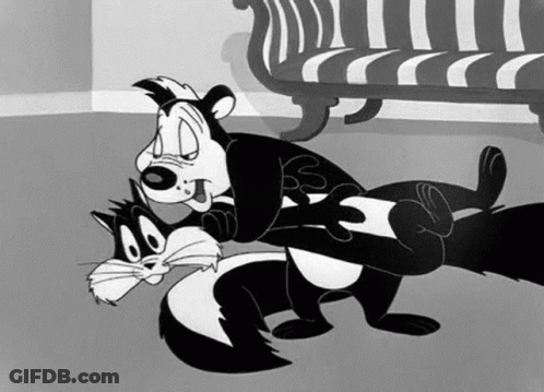 Black And White Skunk And Cat Fighting GIF
