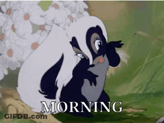 Black And White Skunk Saying What The Skunk GIF