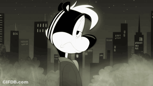 Black And White Skunk With City Background GIF