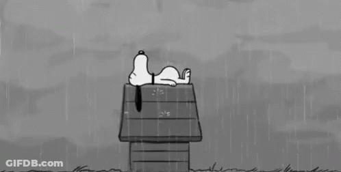 Black And White Snoopy Laying On Doghouse In Rain GIF