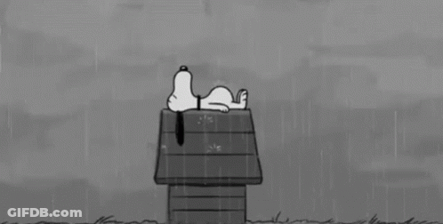 Black And White Snoopy Lying On Wooden House In Rain GIF