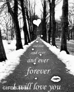 Black And White Snowy Road Saying I Will Love You GIF