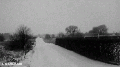 Black And White Snowy Road With Trees GIF