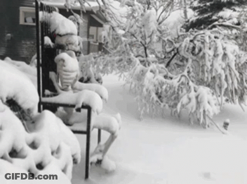 Black And White Snowy Yard GIF