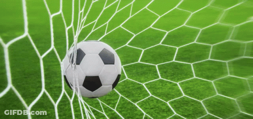 Black And White Soccer Ball In Goal Net GIF