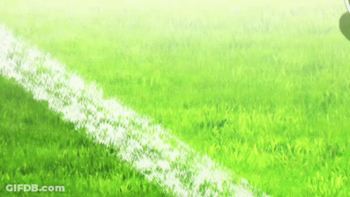 Black And White Soccer Ball On Field GIF