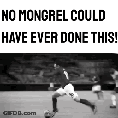 Black And White Soccer Player No Mongrel Could Have Ever Done This GIF