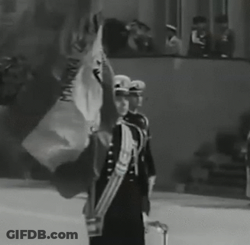 Black And White Soldiers Marching With Guns GIF