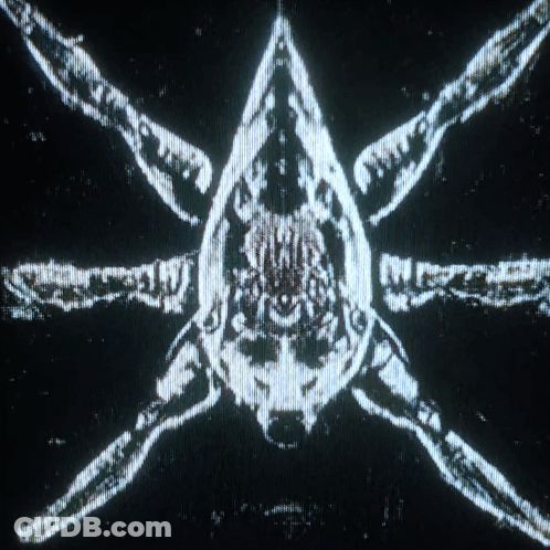 Black And White Spider Drawing GIF