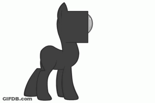 Black And White Spider With Large Head GIF