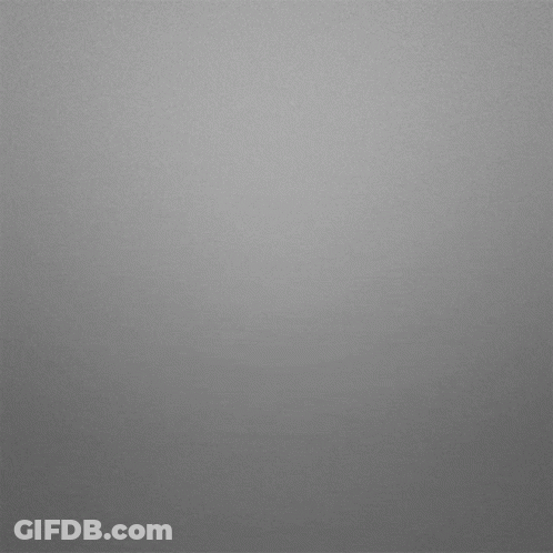 Black And White Squid With Long Tail GIF