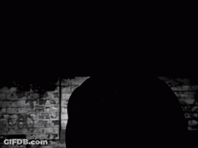 Black And White Stone Cold Steve Austin GIF
