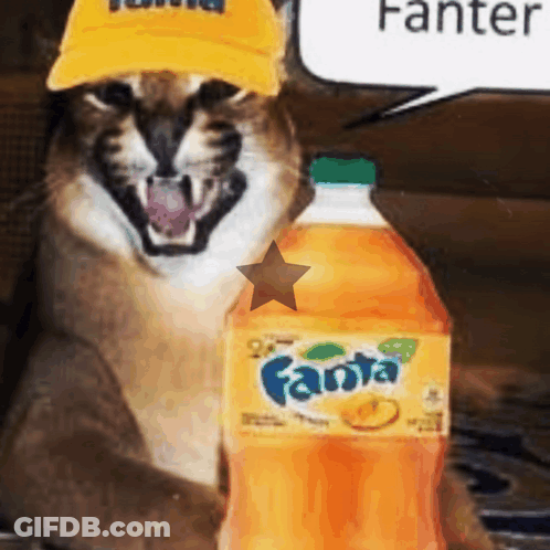 Black And White Store With Fanta Sign GIF