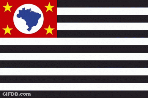 Black And White Striped Flag Says Leia As Regras GIF