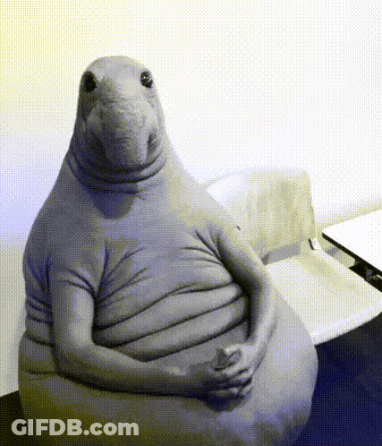 Black And White Stuffed Animal With Folded Hands GIF