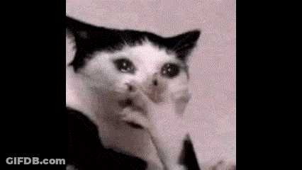 Black And White Surprised Cat Licking Nose GIF