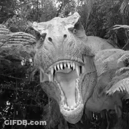 Black And White T-Rex Dinosaur With Open Mouth GIF