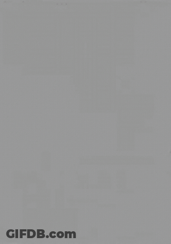 Black And White Tarantula Drawing GIF