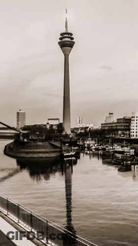 Black And White Tower Overlooking Water With Buildings GIF