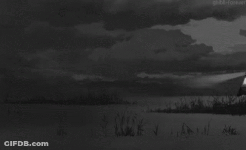 Black And White Train In Field GIF