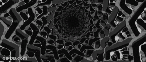 Black And White Tunnel Optical Illusion GIF