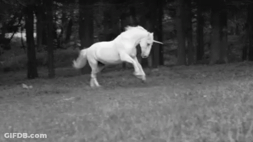 Black And White Unicorn Running GIF