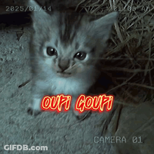 Black And White Viens La ! GIF