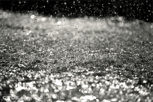 Black And White Water Drops Falling On Ground GIF