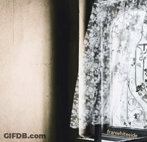 Black And White Window With Franwhiteside GIF