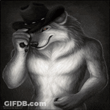 Black And White Wolf Wearing Hat GIF